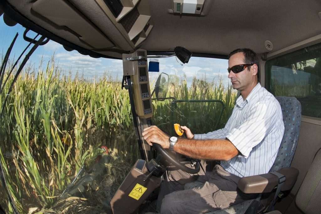 Man driving in the cornfield