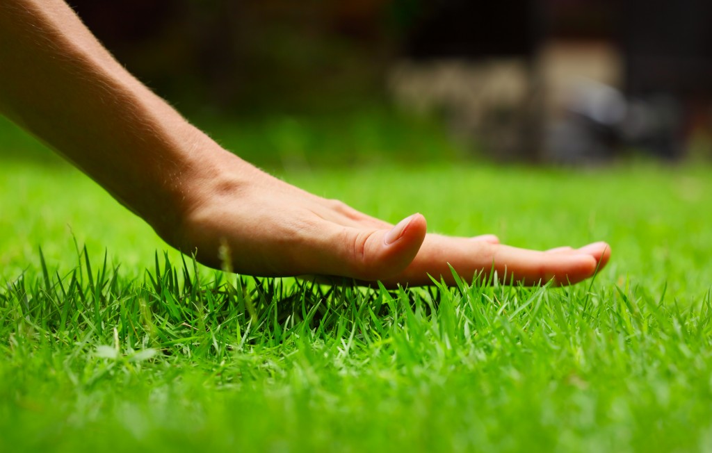 Touch Grass – Meaning, Origin and Usage 