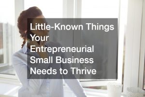 entrepreneurial small business